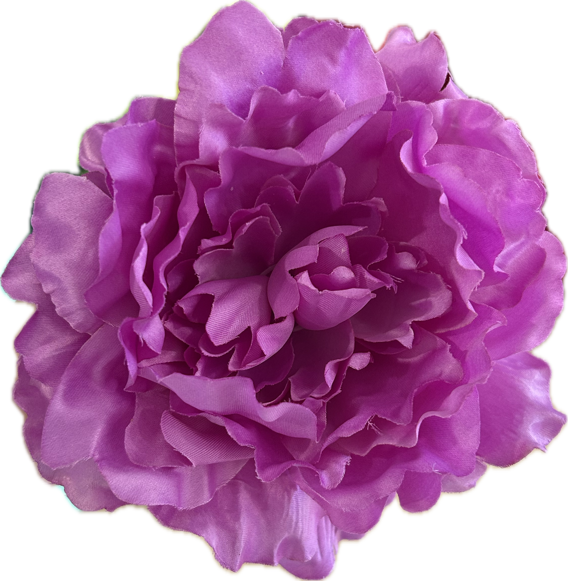 PEONIA MALVA