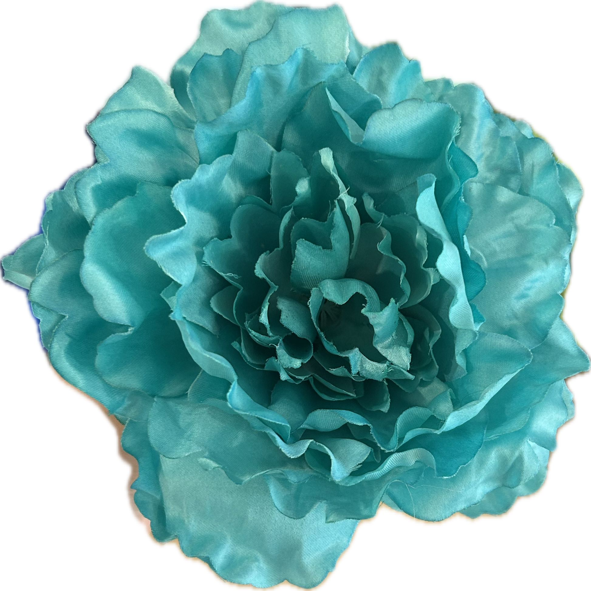 PEONIA AGUAMARINA