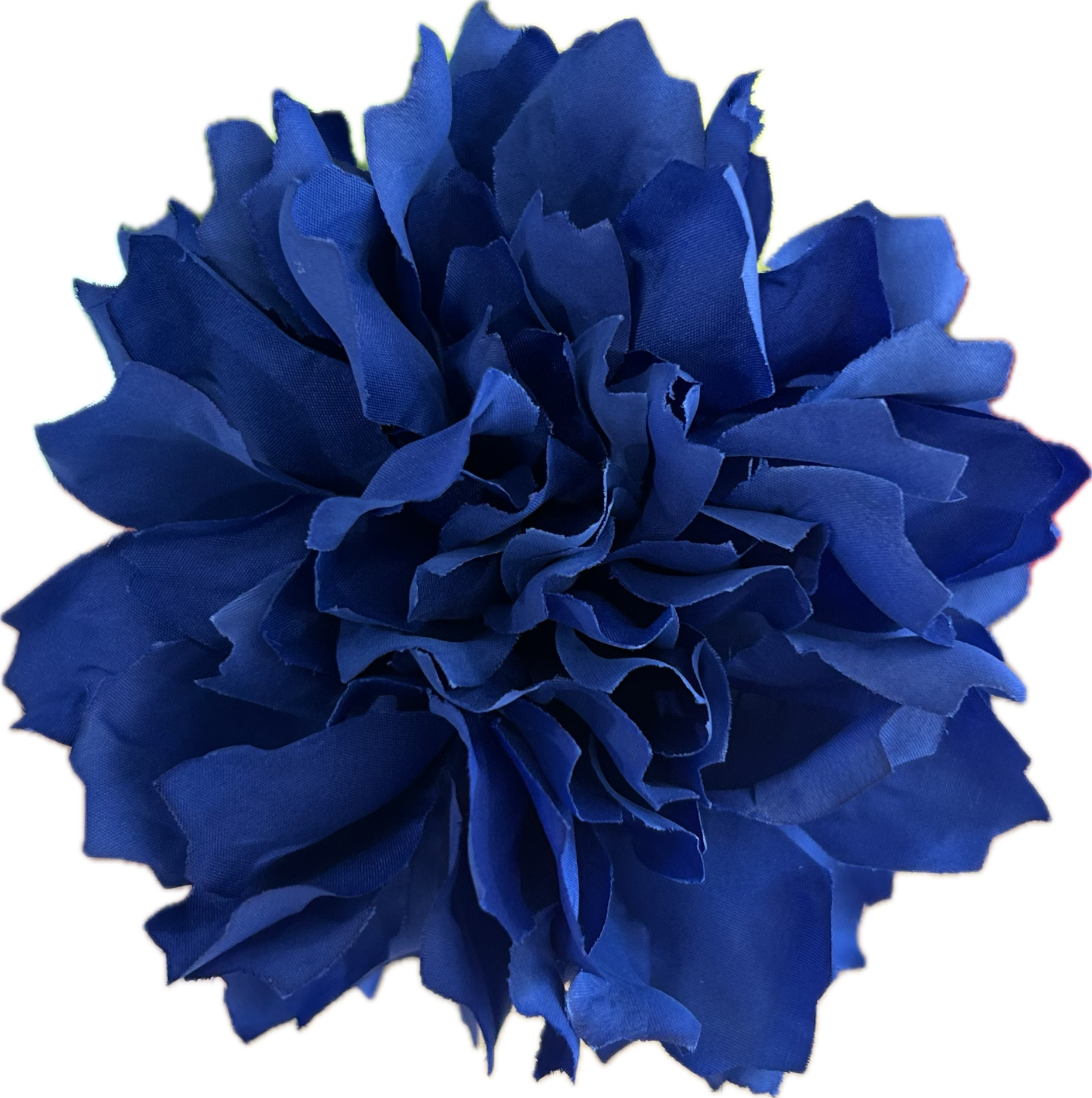 DALIA AZULINA