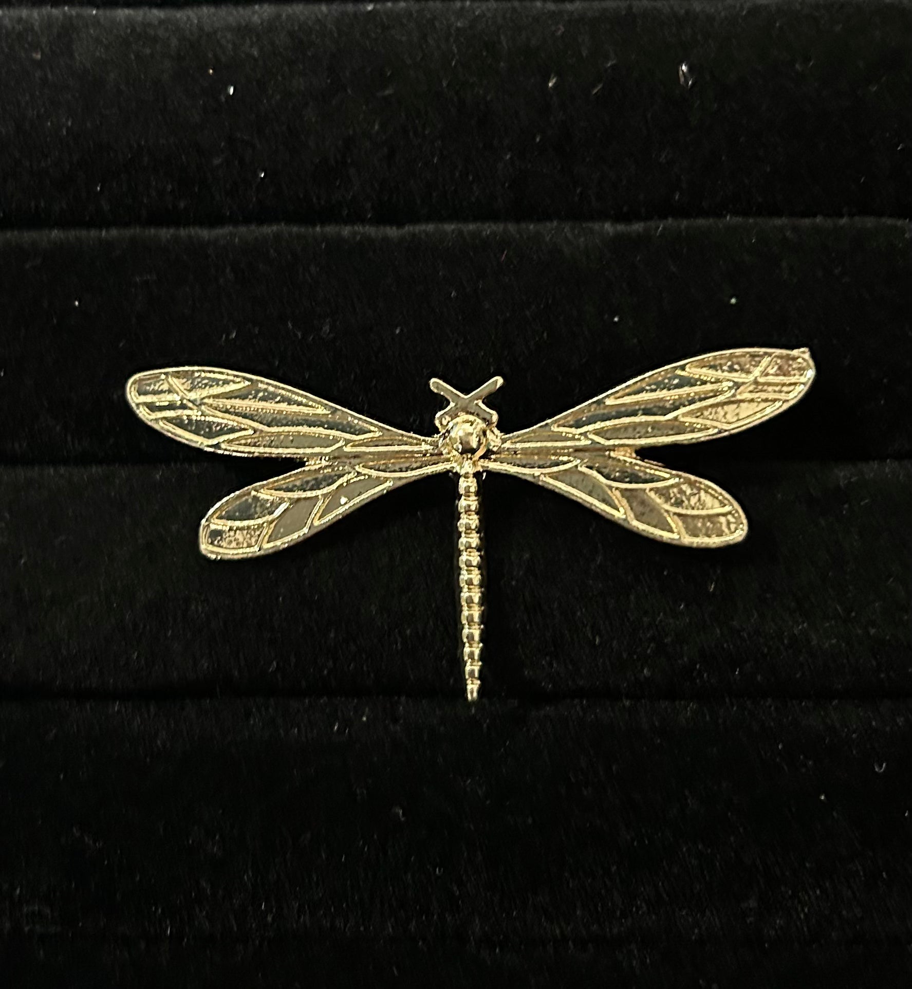 BROCHE LIBELULA