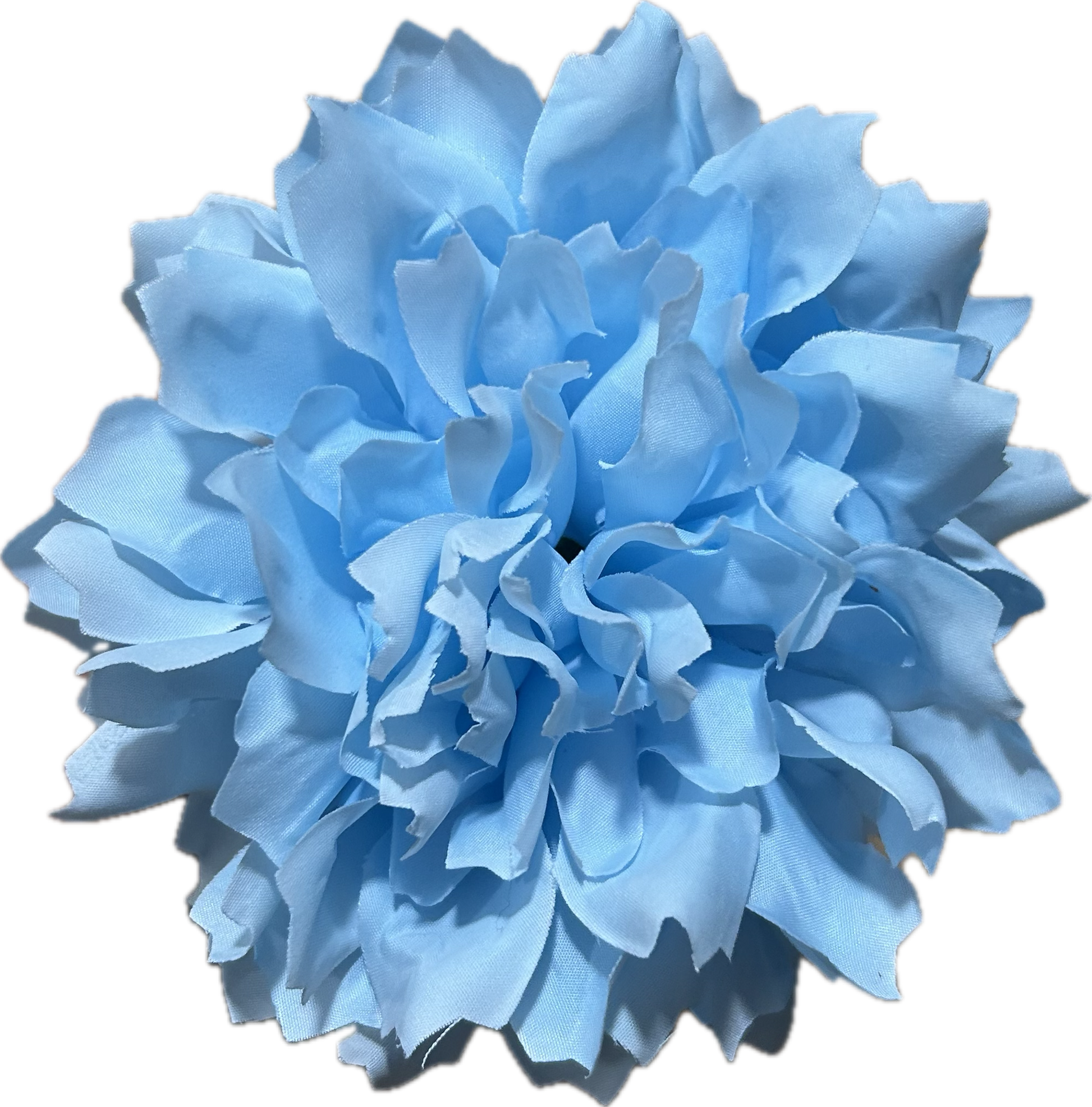 DALIA AZUL CIELO