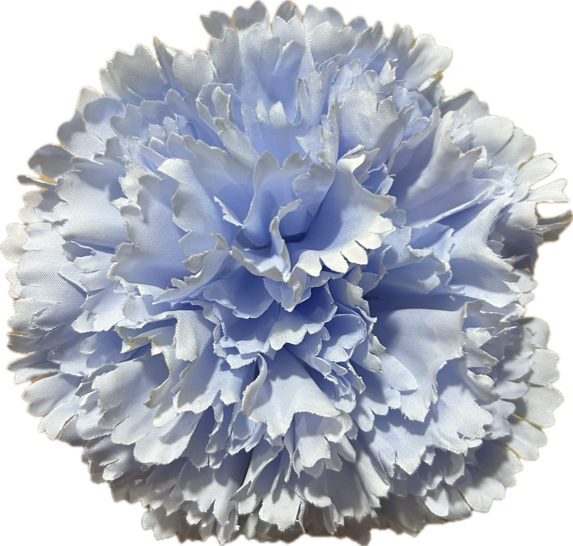 CLAVEL AZUL CIELO