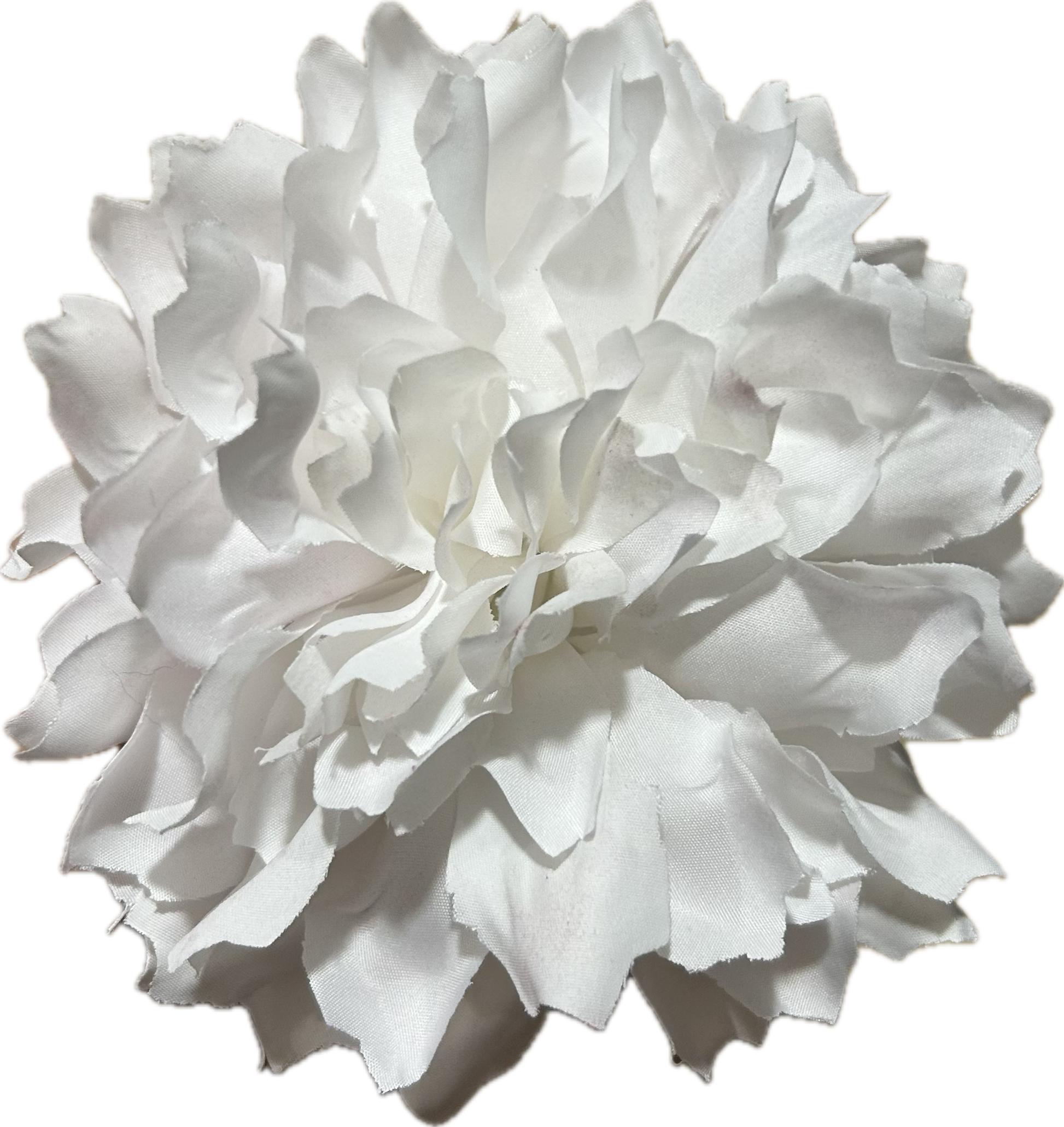 DALIA BLANCA