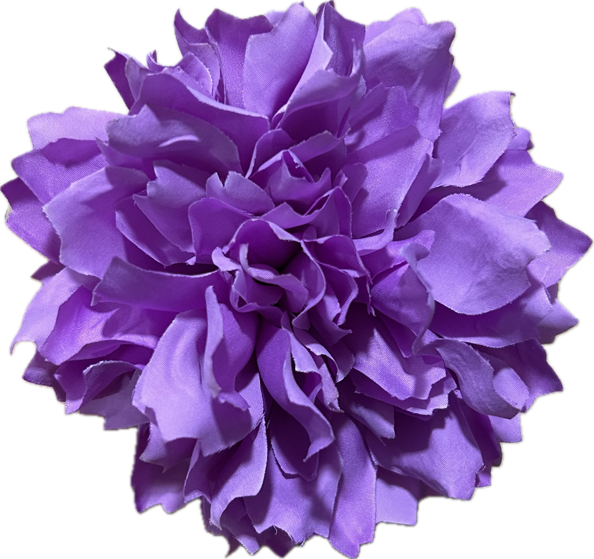 DALIA MALVA