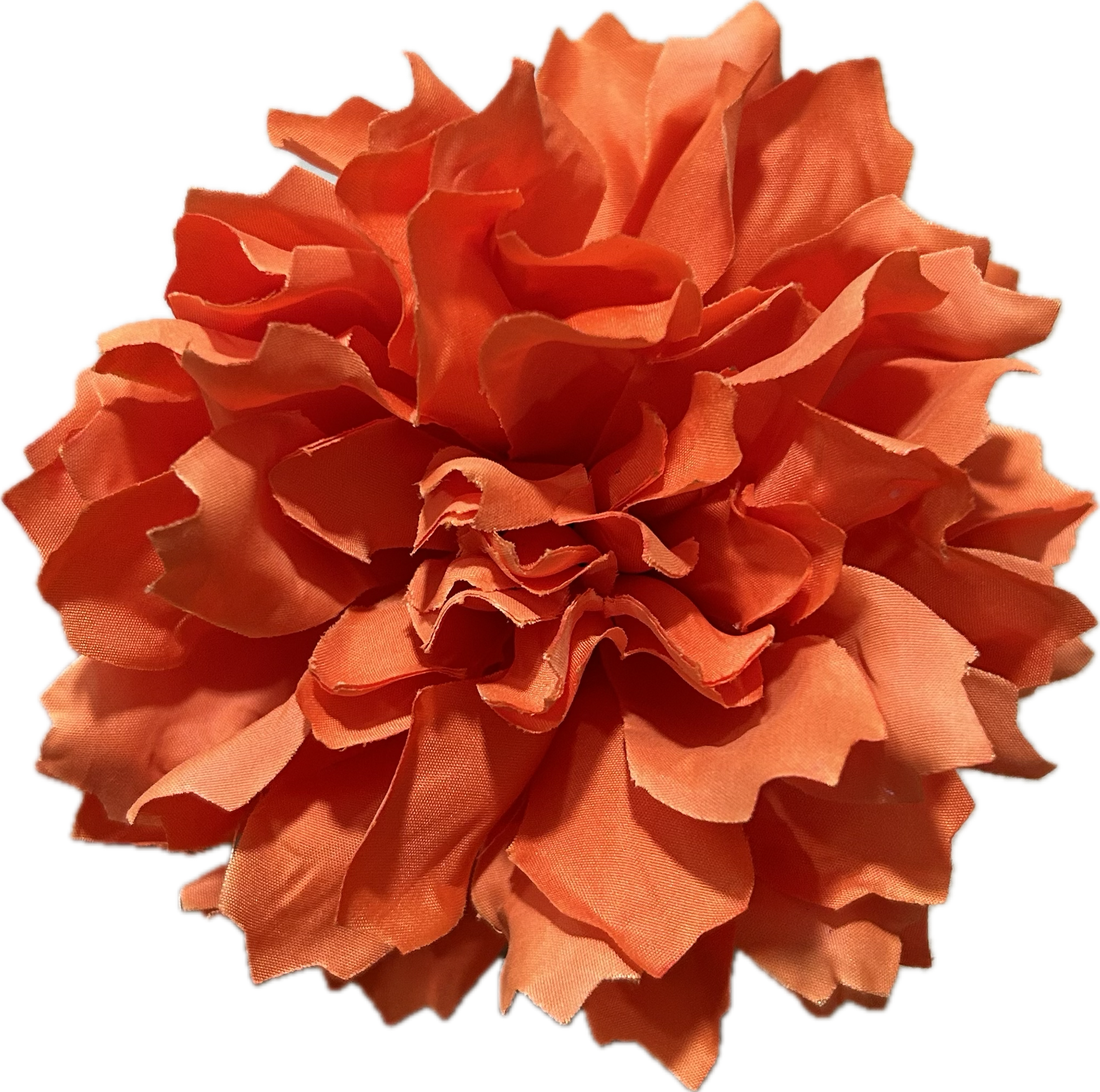 DALIA NARANJA