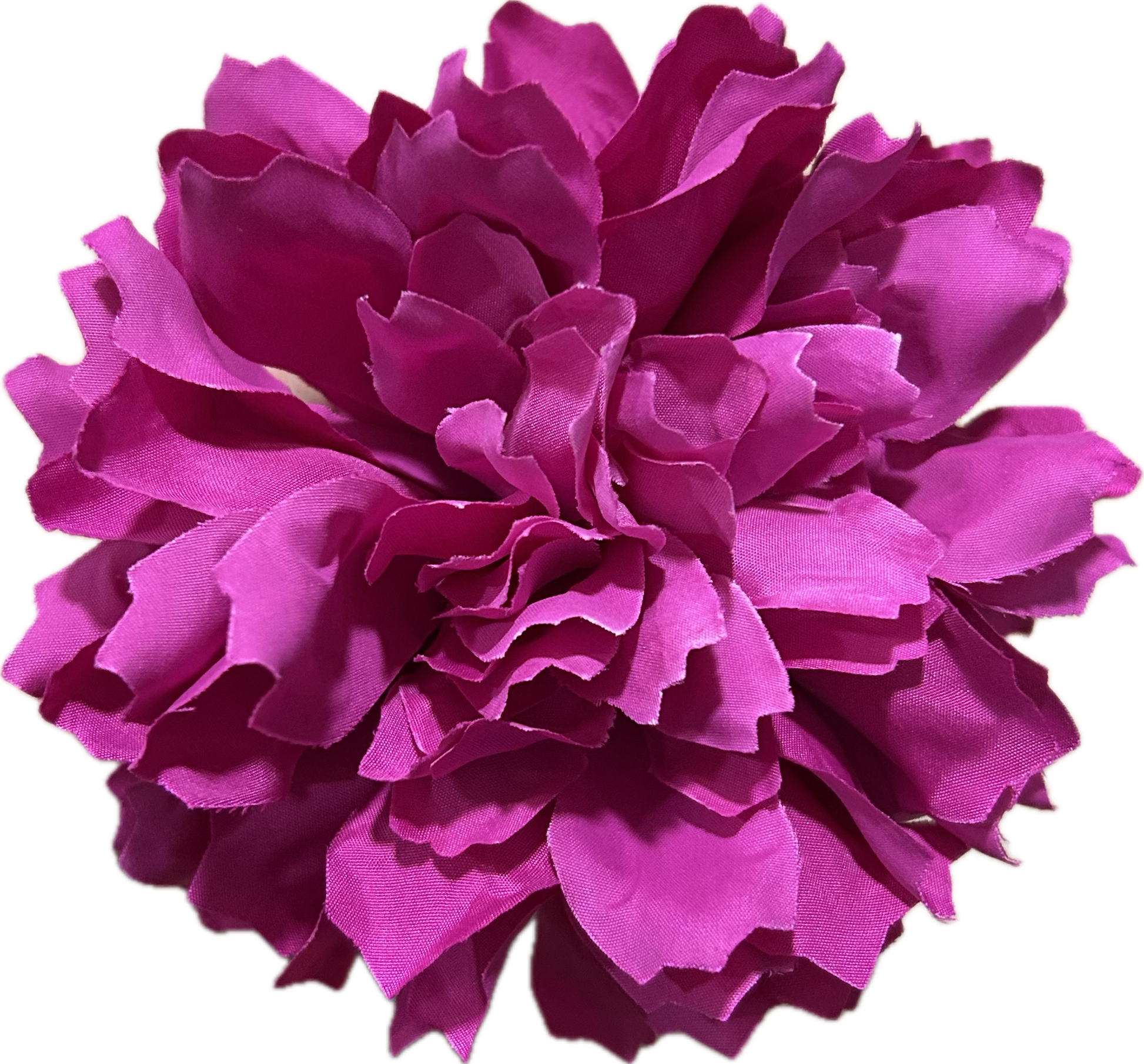 DALIA BUGANVILLA