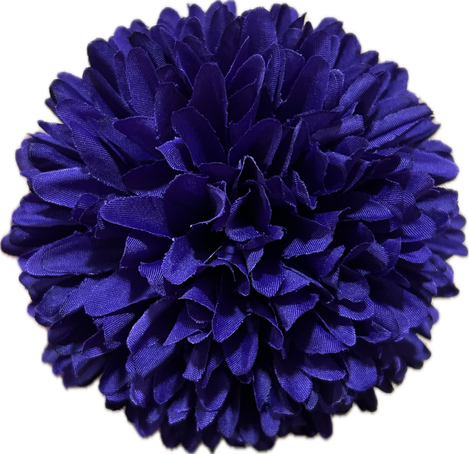 POMPON MORADO