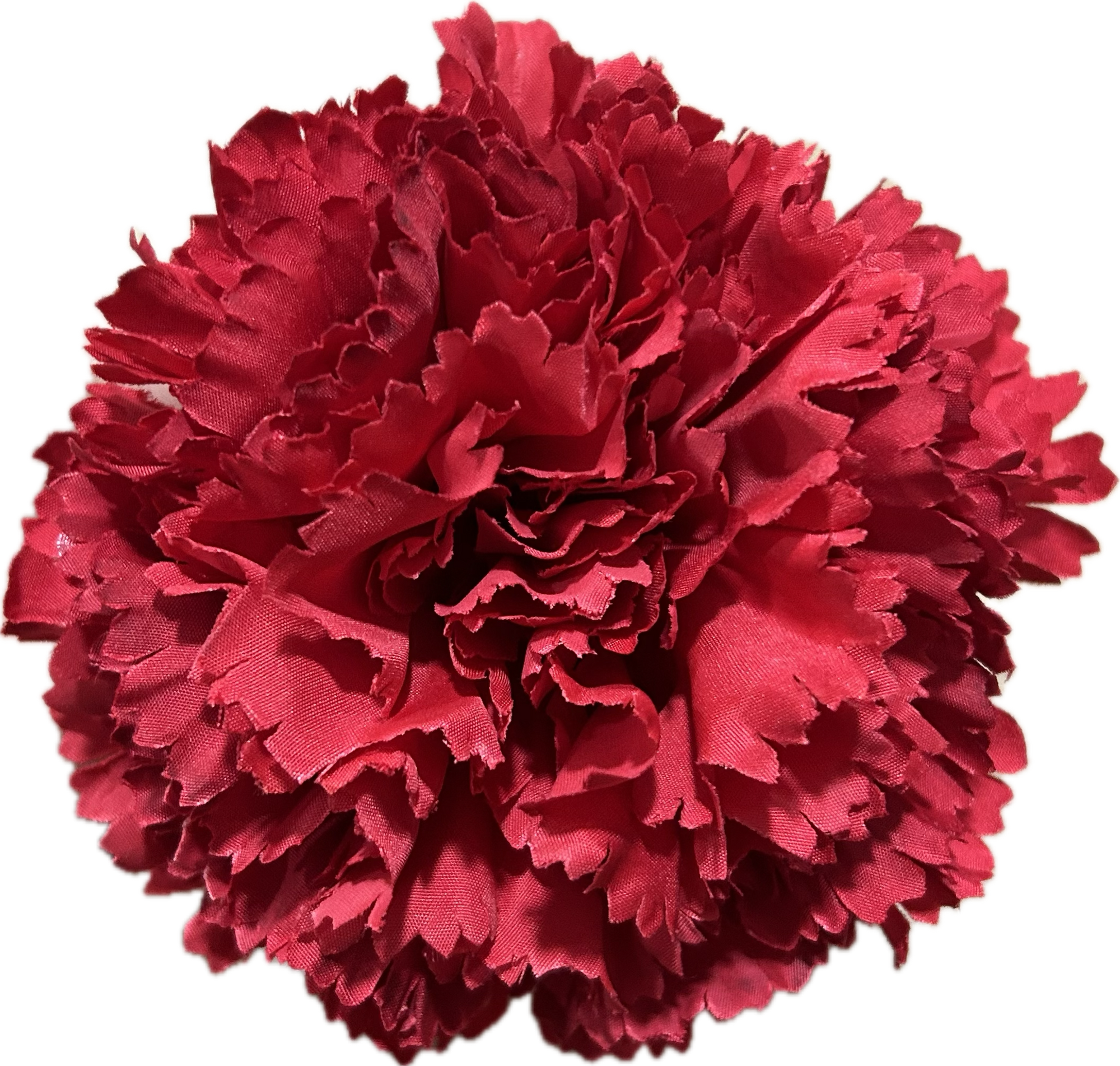 CLAVEL ROJO