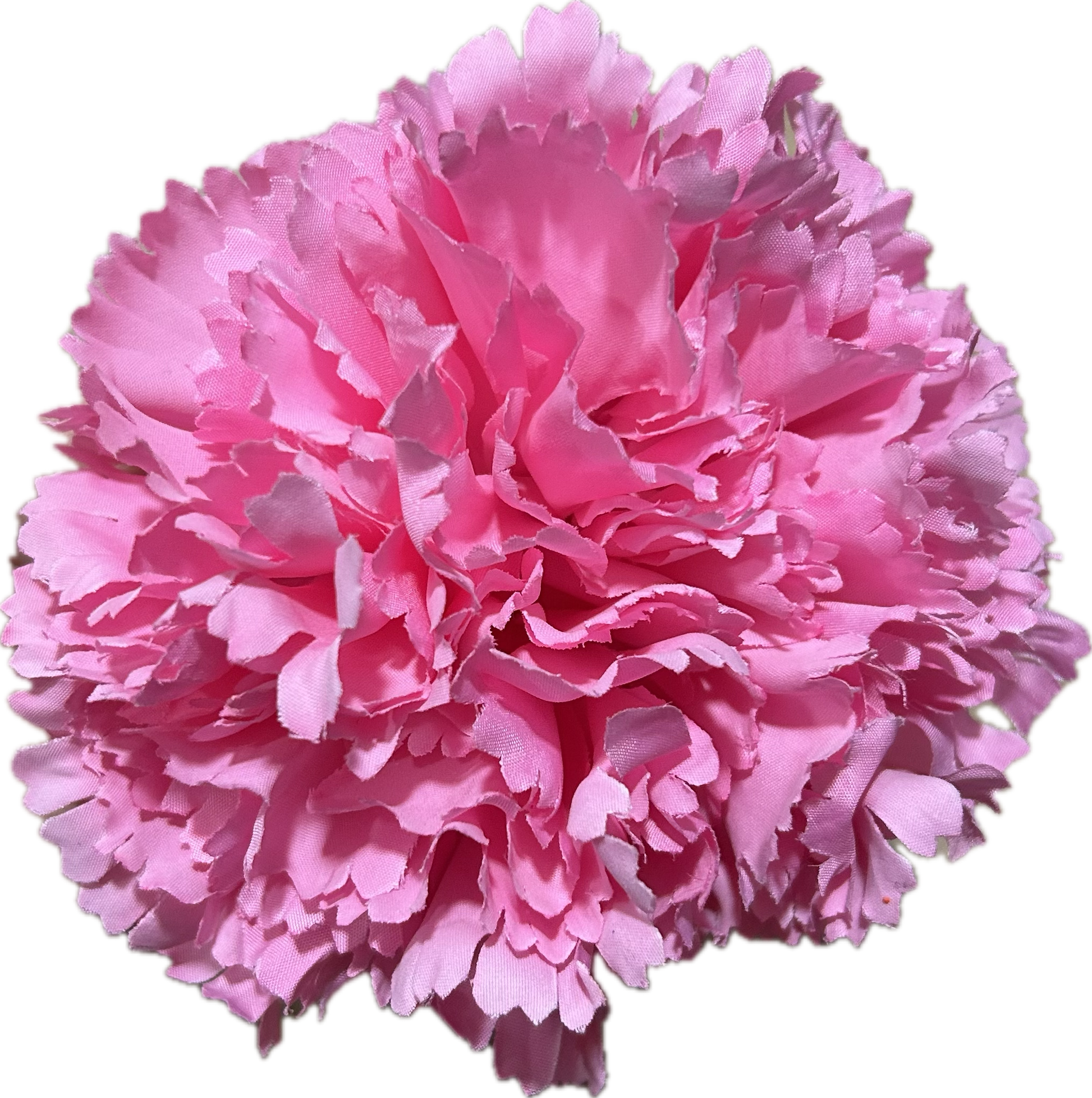 CLAVEL ROSA CHICLE