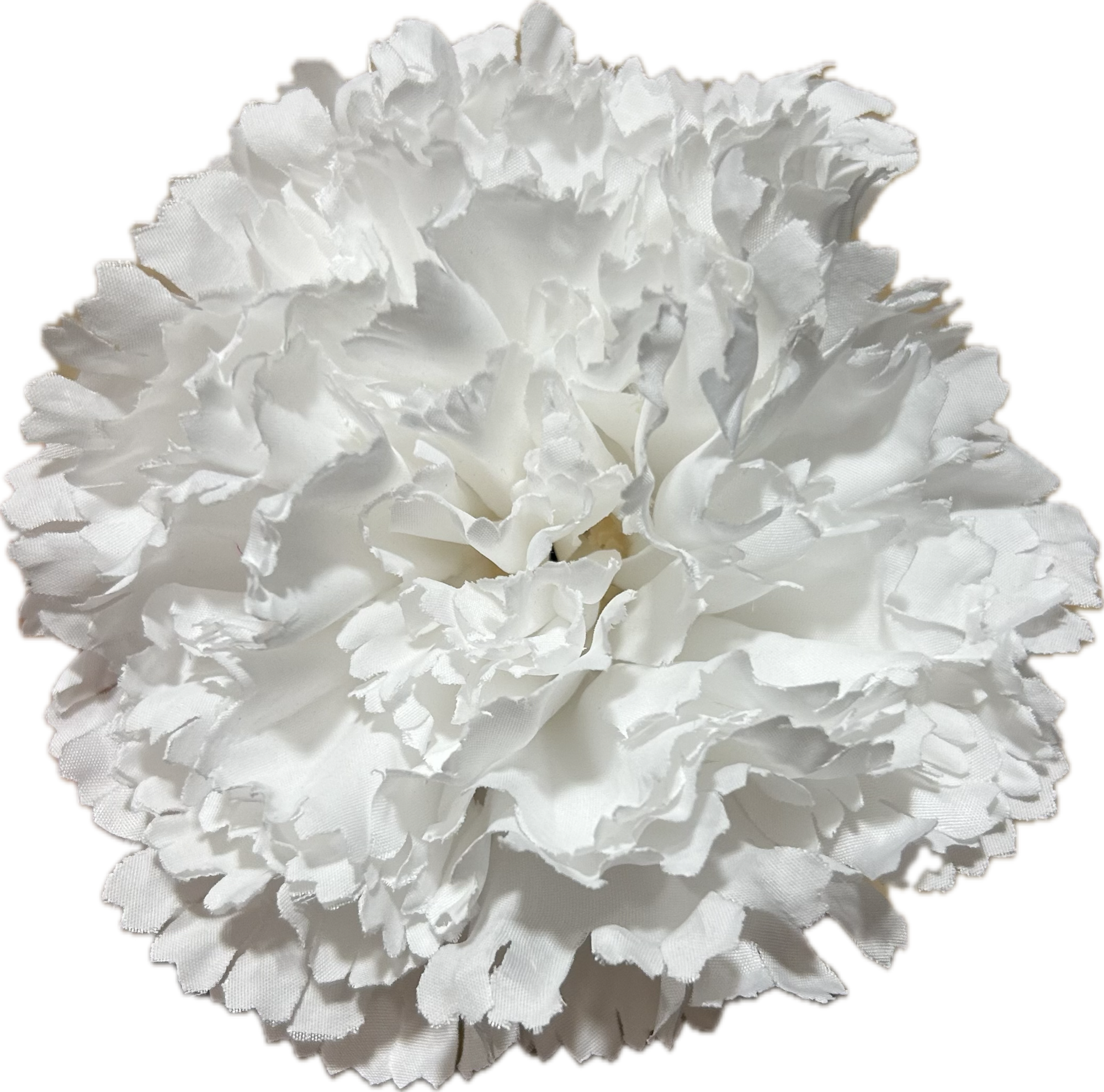 CLAVEL BLANCO