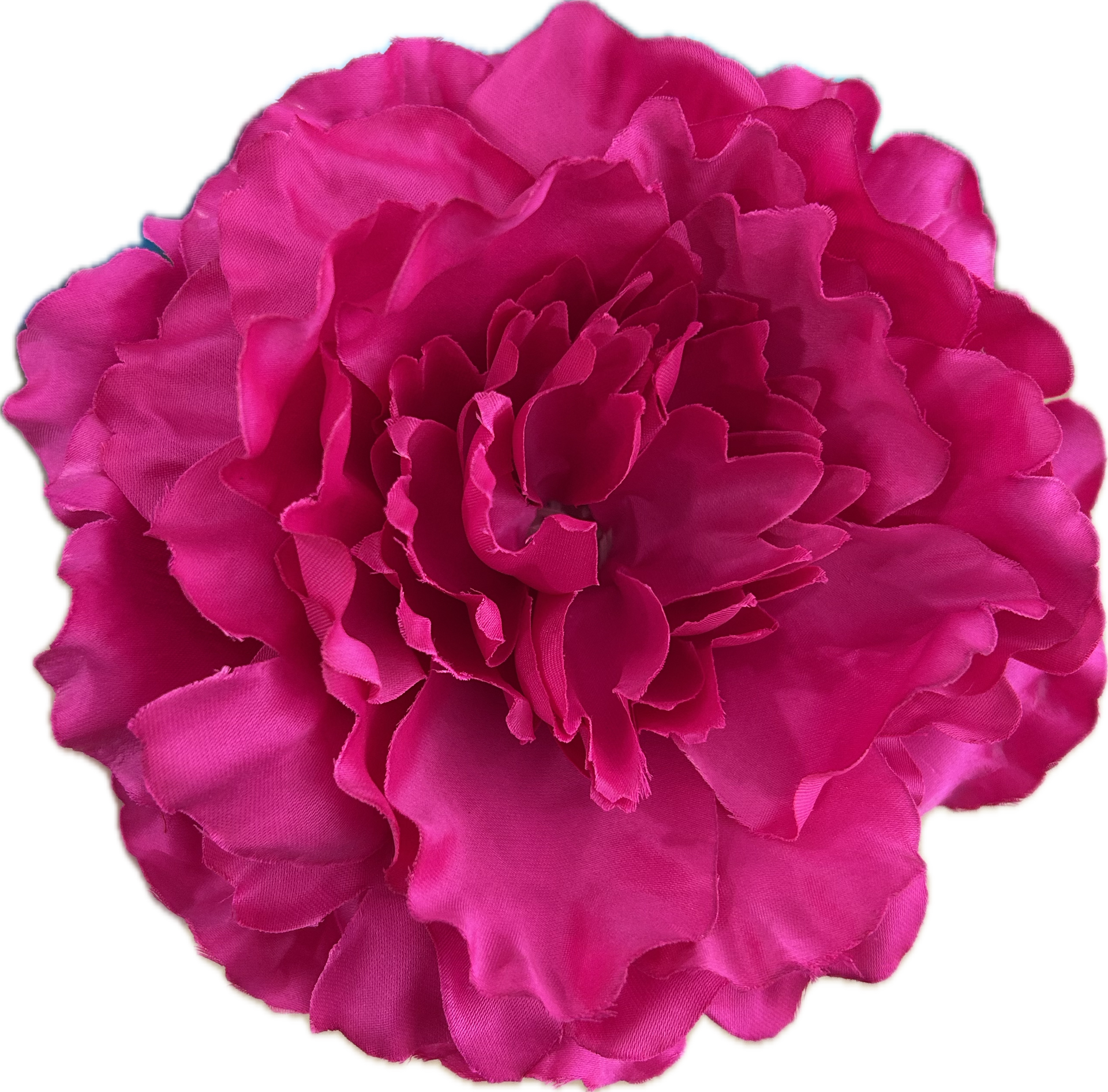 PEONIA FUCSIA