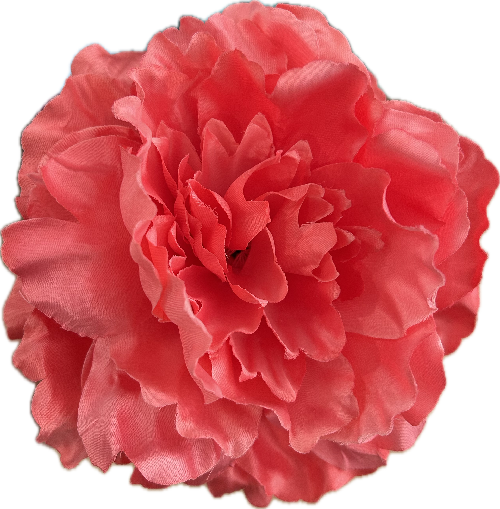 PEONIA CORAL