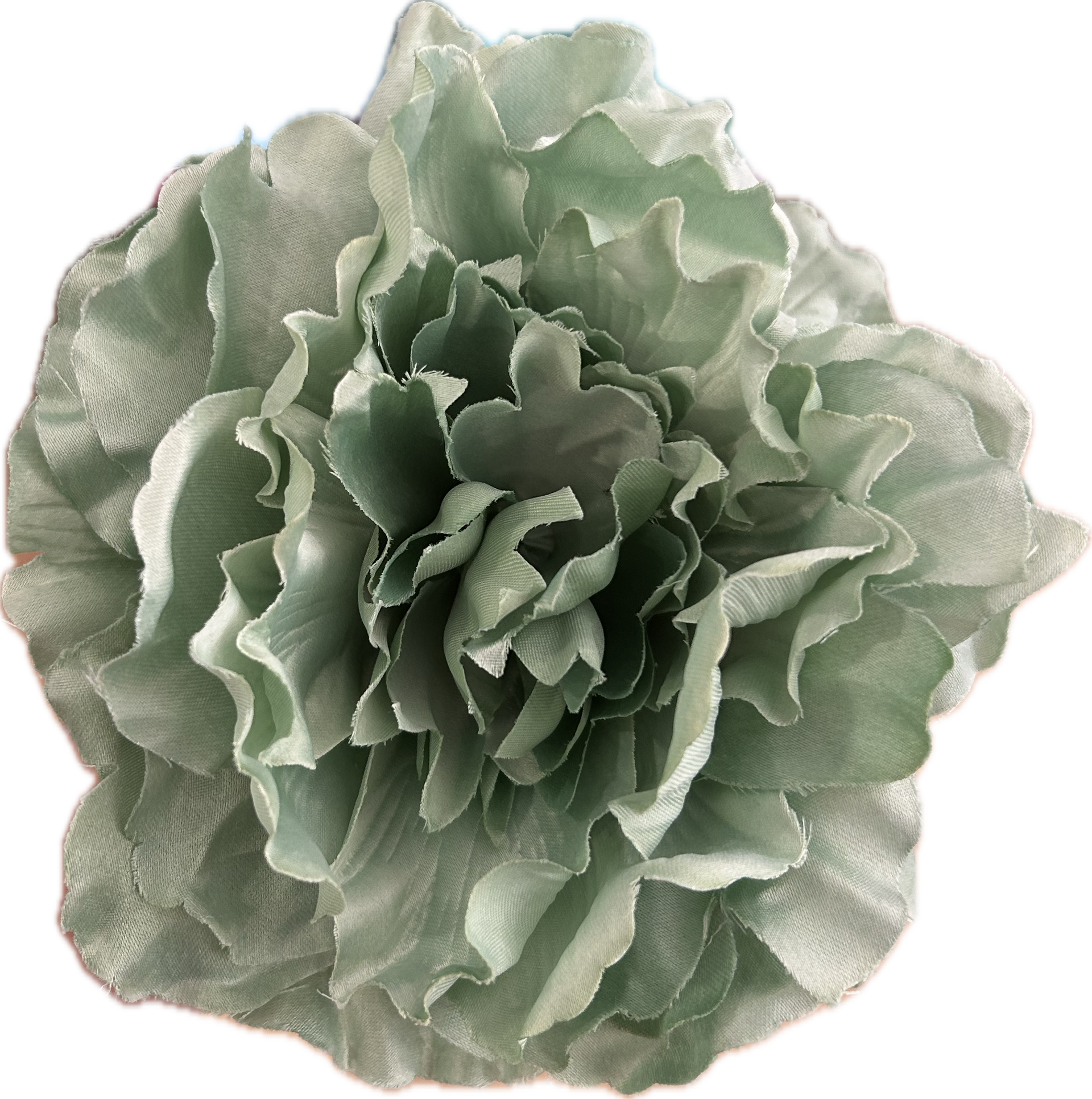 PEONIA VERDE EMPOLVADO