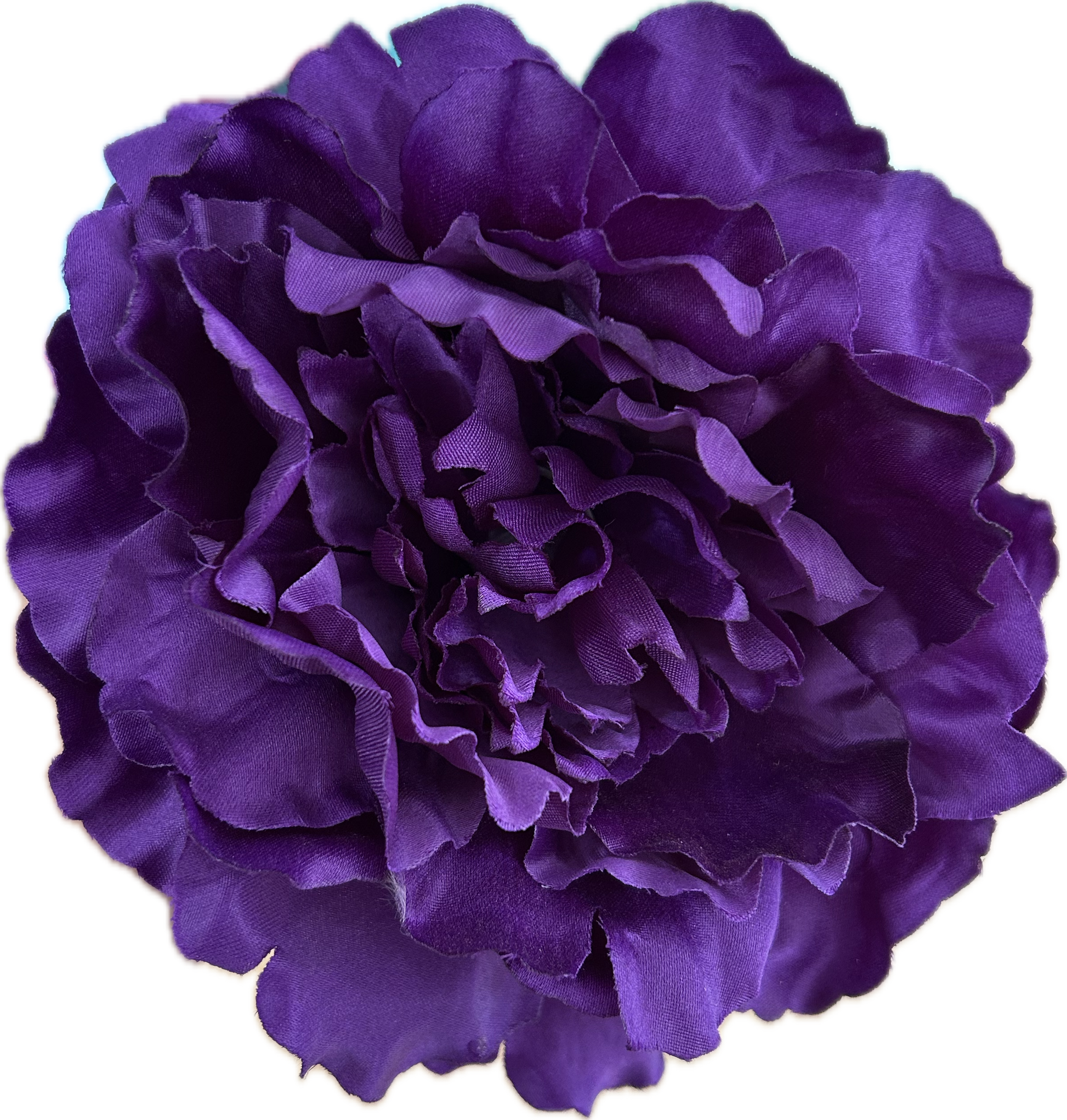 PEONIA MORADA
