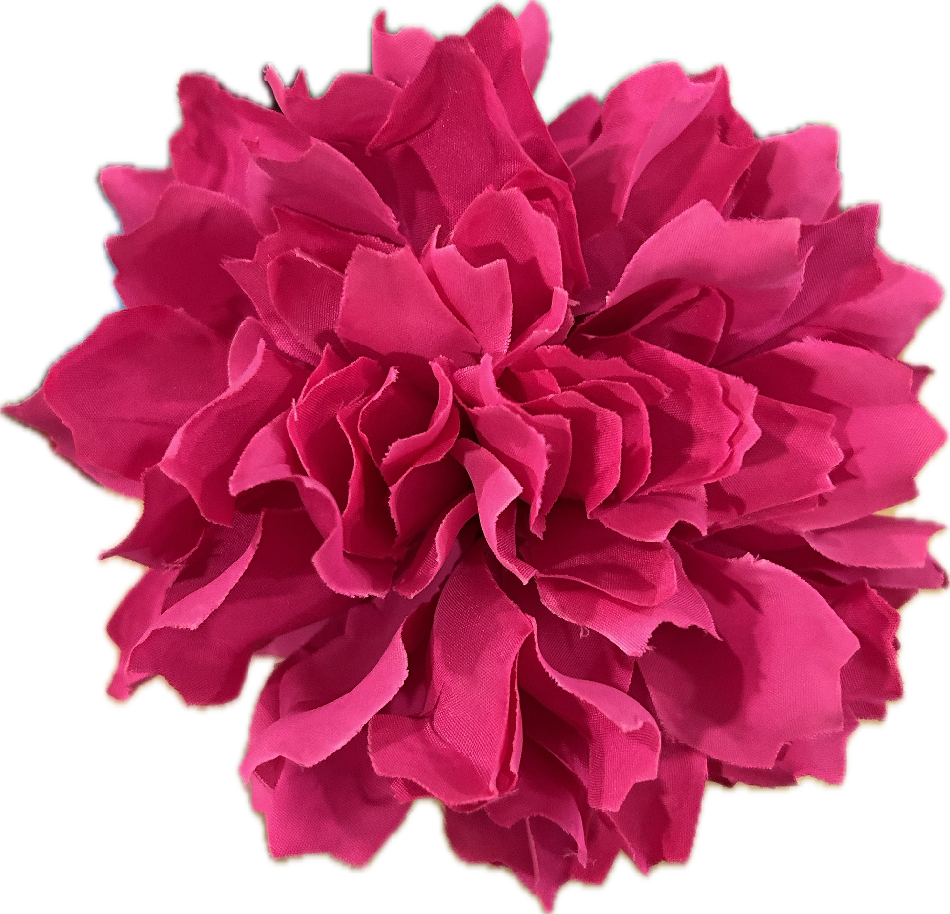 DALIA FUCSIA