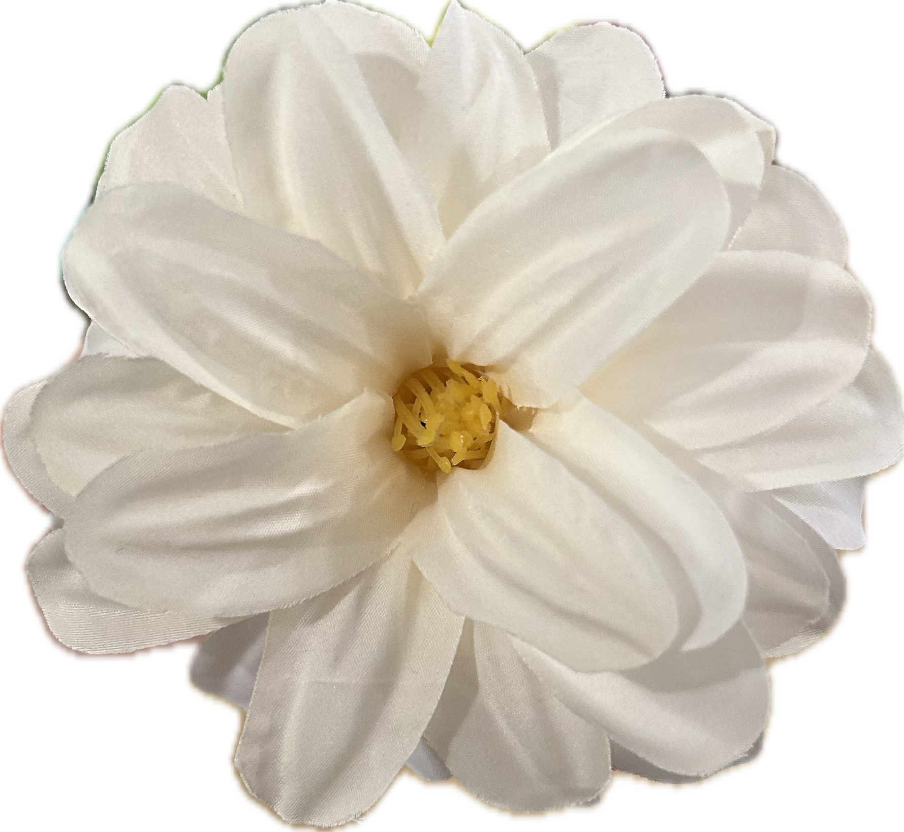 MARGARITA BLANCA