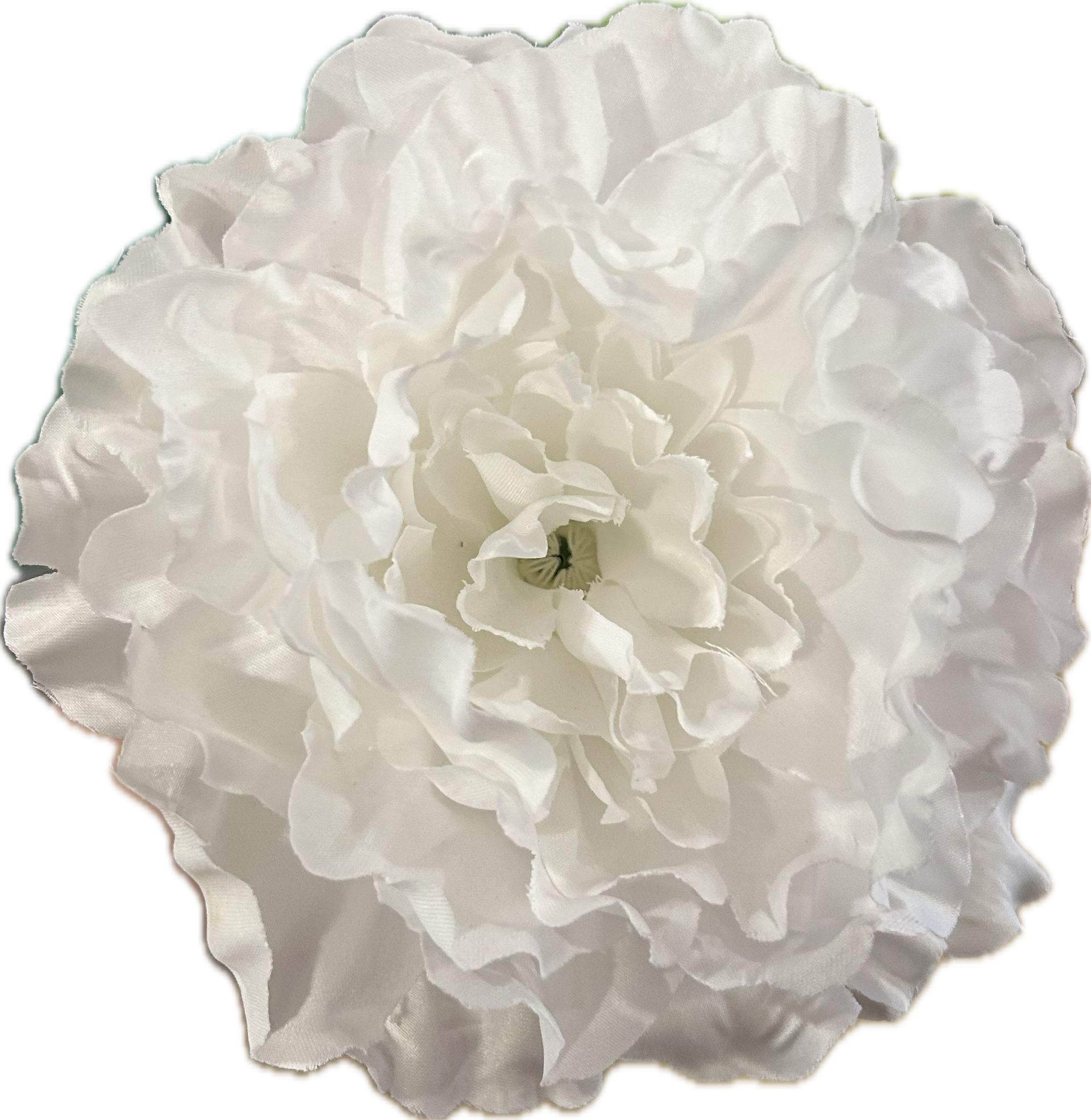 PEONIA BLANCA