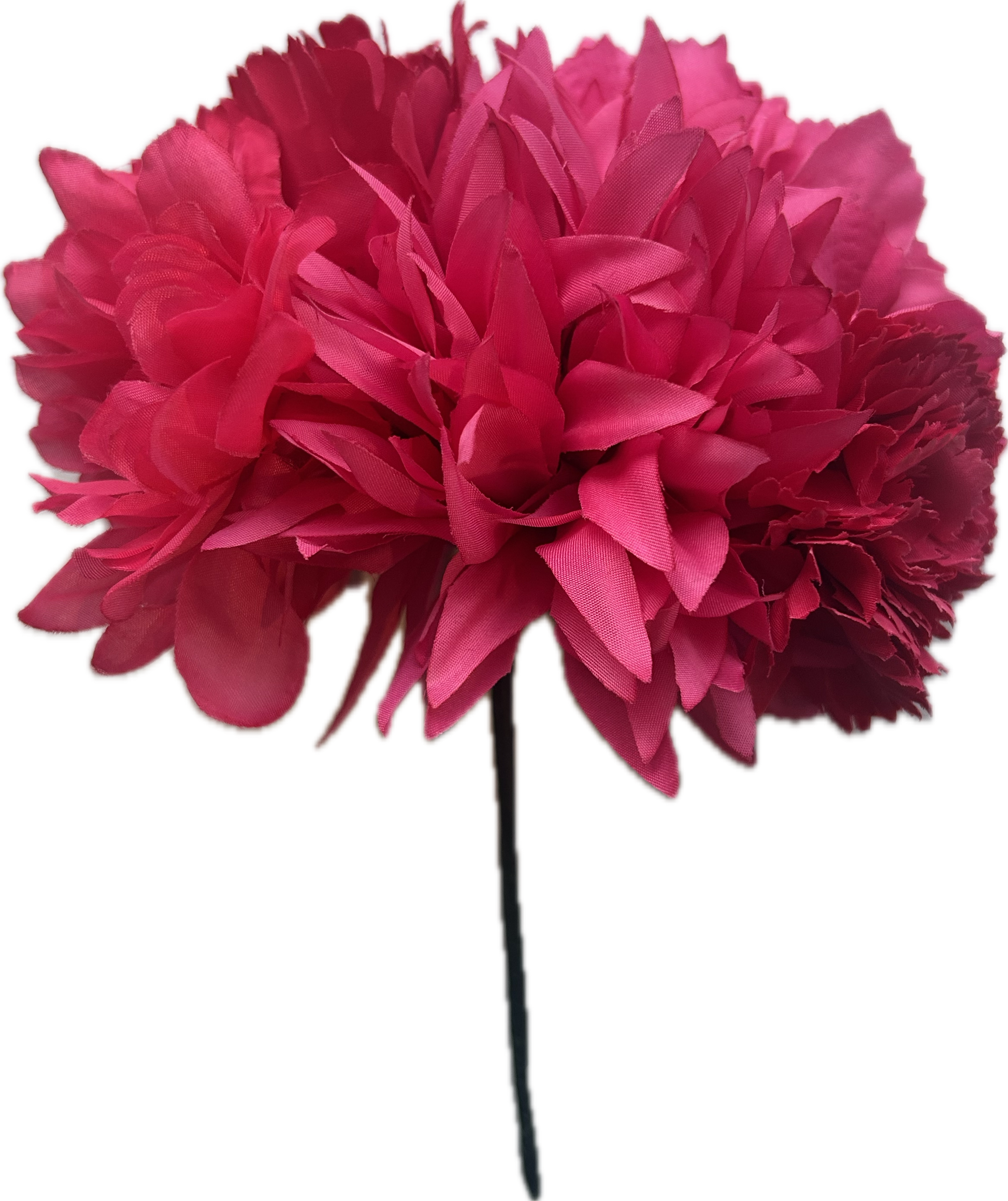 RAMILLETE FUCSIA