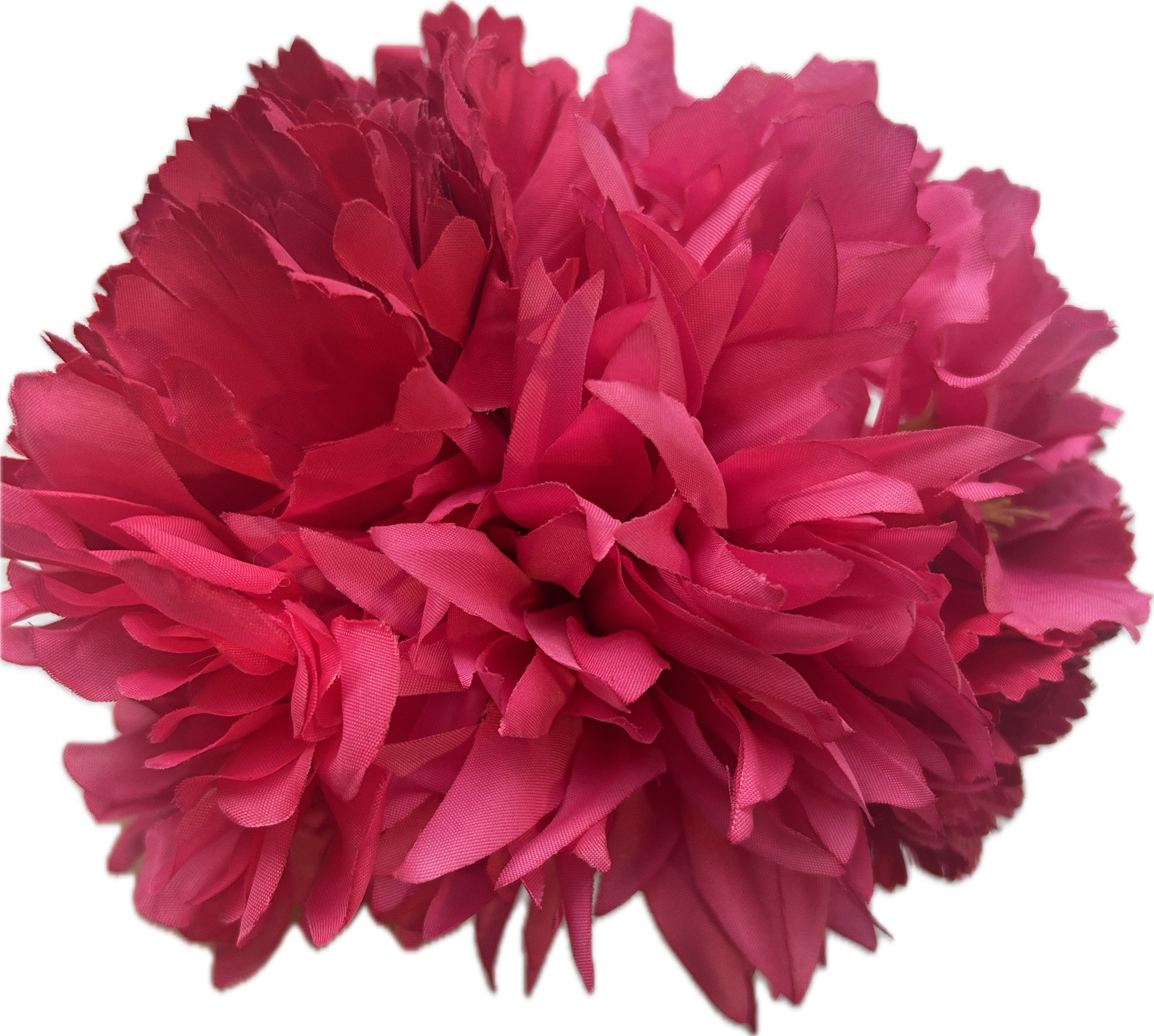 RAMILLETE FUCSIA
